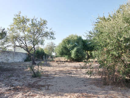 Casa en venta en Sanlúcar de Barrameda