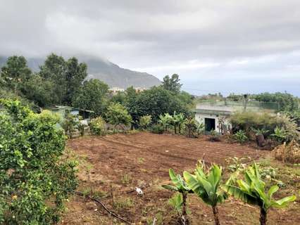 Parcela rústica en venta en Los Realejos