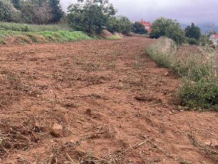 Parcela rústica en venta en Los Realejos