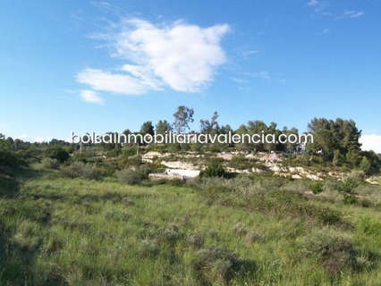 Parcela rústica en venta en Valencia
