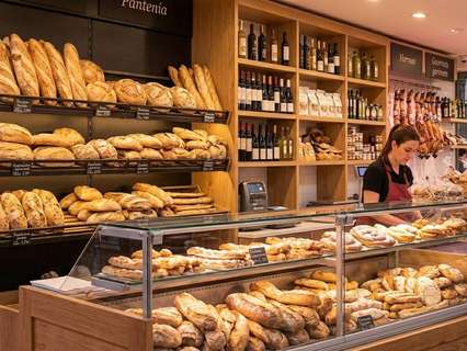 Local comercial en alquiler en Valencia