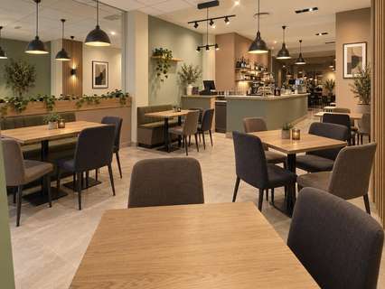 Local comercial en alquiler en Valencia