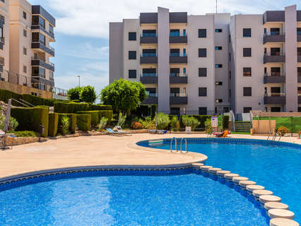 Apartamento en venta en San Miguel de Salinas zona San Miguel de Salinas