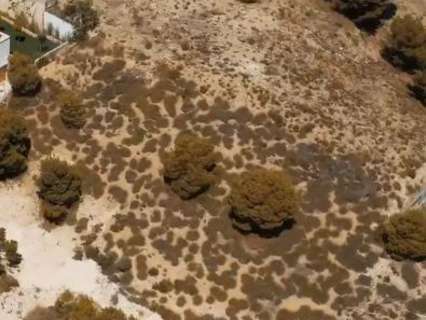 Parcela rústica en venta en Las Torres de Cotillas