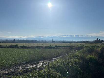Parcela rústica en venta en Maracena