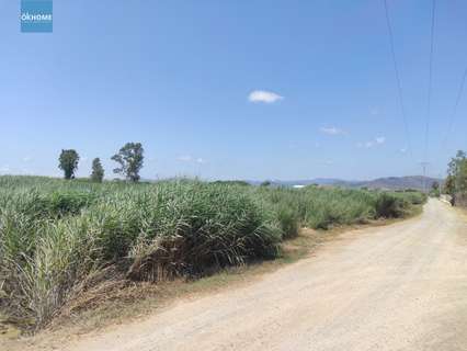 Parcela rústica en venta en Sagunto/Sagunt