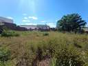 Parcela urbana en venta en Palomares del Río