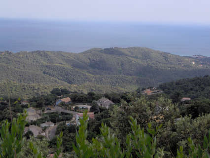 Parcela rústica en venta en Sant Cebrià de Vallalta rebajada