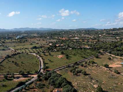 Parcela rústica en venta en Manacor