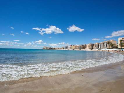 Apartamento en alquiler en Torrevieja