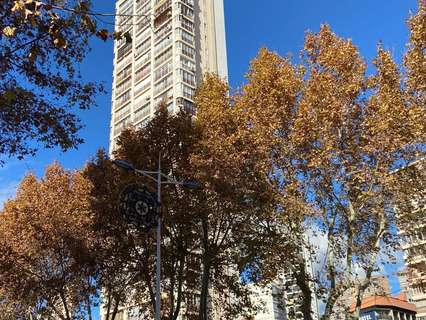 Estudio en venta en Benidorm