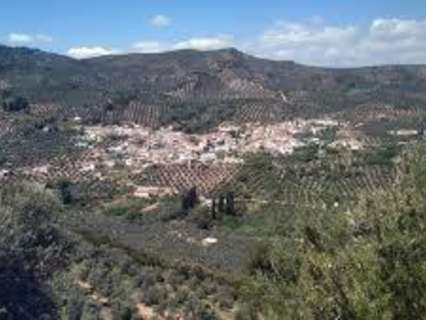 Parcela rústica en venta en Puente de Génave