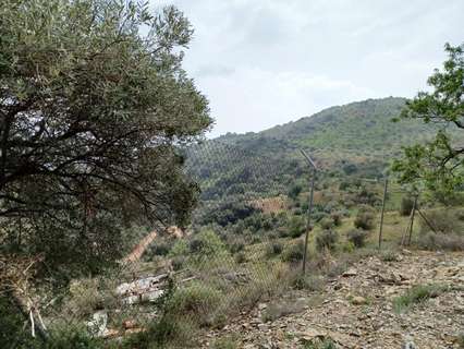 Parcela rústica en venta en Málaga