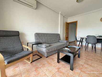 Apartamento en alquiler en Guardamar del Segura