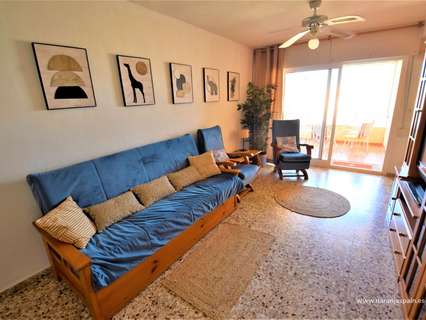 Apartamento en alquiler en Guardamar del Segura