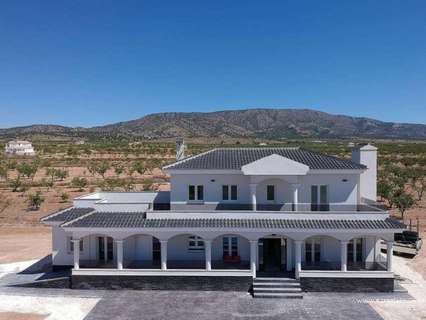 Villa en venta en El Pinós/Pinoso
