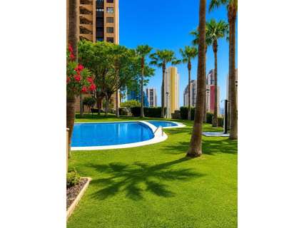 Apartamento en venta en Benidorm zona Playa Poniente