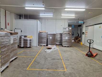 Nave industrial en alquiler en Torrent
