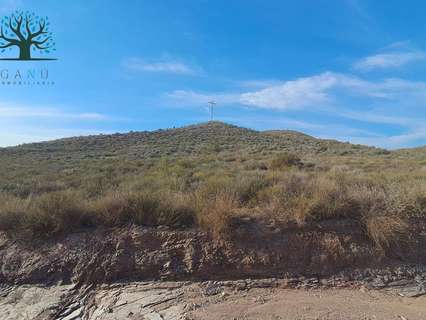 Parcela rústica en venta en Mazarrón