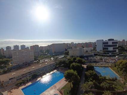 Apartamento en alquiler en Alicante