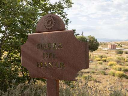 Parcela rústica en venta en Otura rebajada