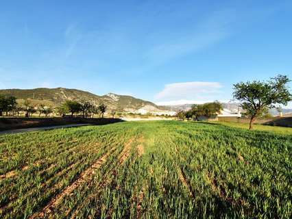 Parcela rústica en venta en Padul