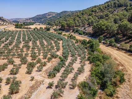 Parcela rústica en venta en Deifontes