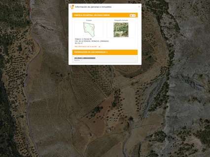 Parcela rústica en venta en Monachil