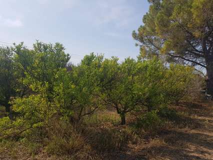 Parcela rústica en venta en La Galera