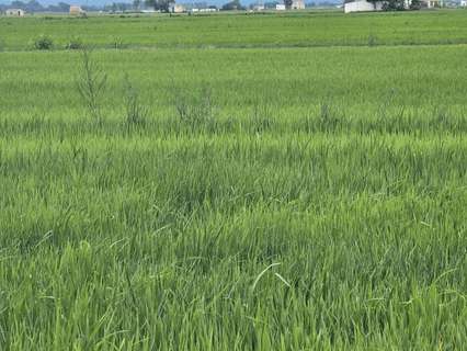 Parcela rústica en venta en Amposta