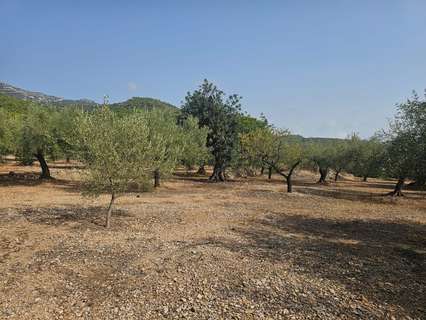 Parcela rústica en venta en Alcanar