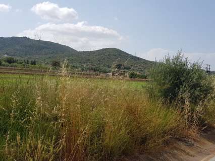 Parcela rústica en venta en Sant Carles de la Ràpita