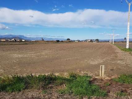 Parcela rústica en venta en Sant Carles de la Ràpita