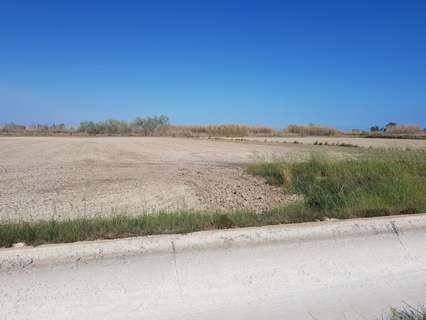Parcela rústica en venta en Sant Carles de la Ràpita