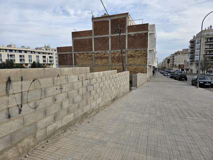 Parcela rústica en alquiler en Sant Carles de la Ràpita