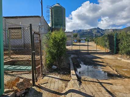 Local comercial en venta en Sant Carles de la Ràpita