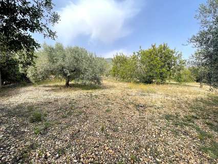 Parcela rústica en venta en Sant Carles de la Ràpita