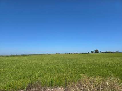 Parcela rústica en venta en Sant Carles de la Ràpita