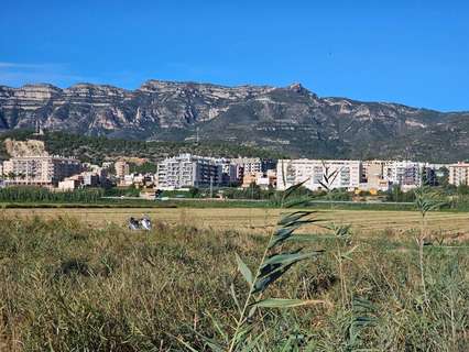 Parcela rústica en venta en Sant Carles de la Ràpita