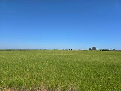 Parcela rústica en venta en Sant Carles de la Ràpita