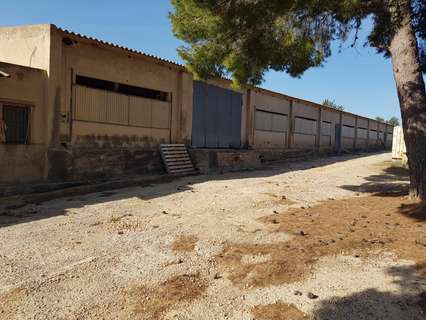 Nave industrial en alquiler en Sant Carles de la Ràpita rebajada