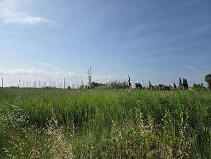 Parcela rústica en venta en Sant Carles de la Ràpita
