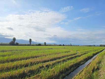 Parcela rústica en venta en Sant Carles de la Ràpita