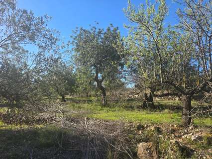 Parcela rústica en venta en Alcanar