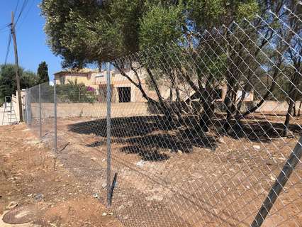 Parcela rústica en venta en Llucmajor rebajada