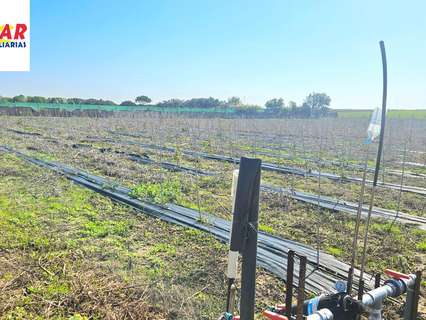 Parcela rústica en venta en Rota