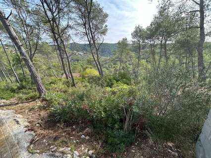 Parcela rústica en venta en Olivella