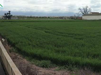 Parcela rústica en venta en Granada