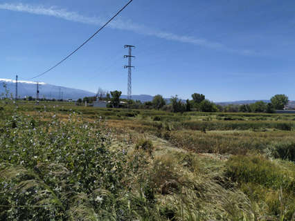 Parcela rústica en venta en Granada