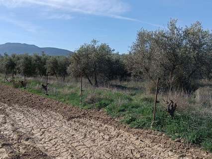 Parcela rústica en venta en Otura